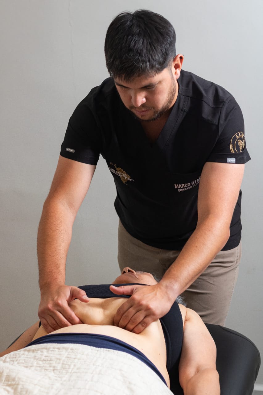 Terapia manual